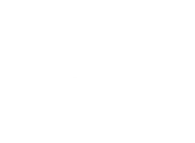  Saflex Logo